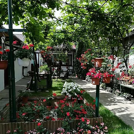 Holiday home Flower House Constanta