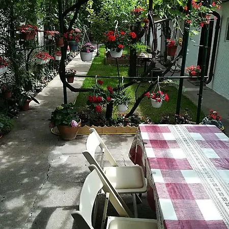 Holiday home Flower House