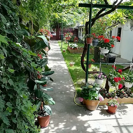 Flower House Holiday home Constanta