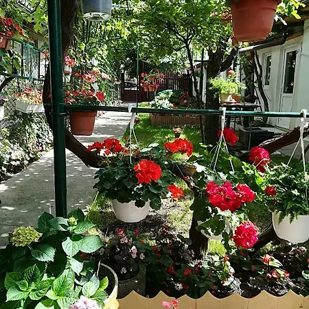 Holiday home Flower House Constanta
